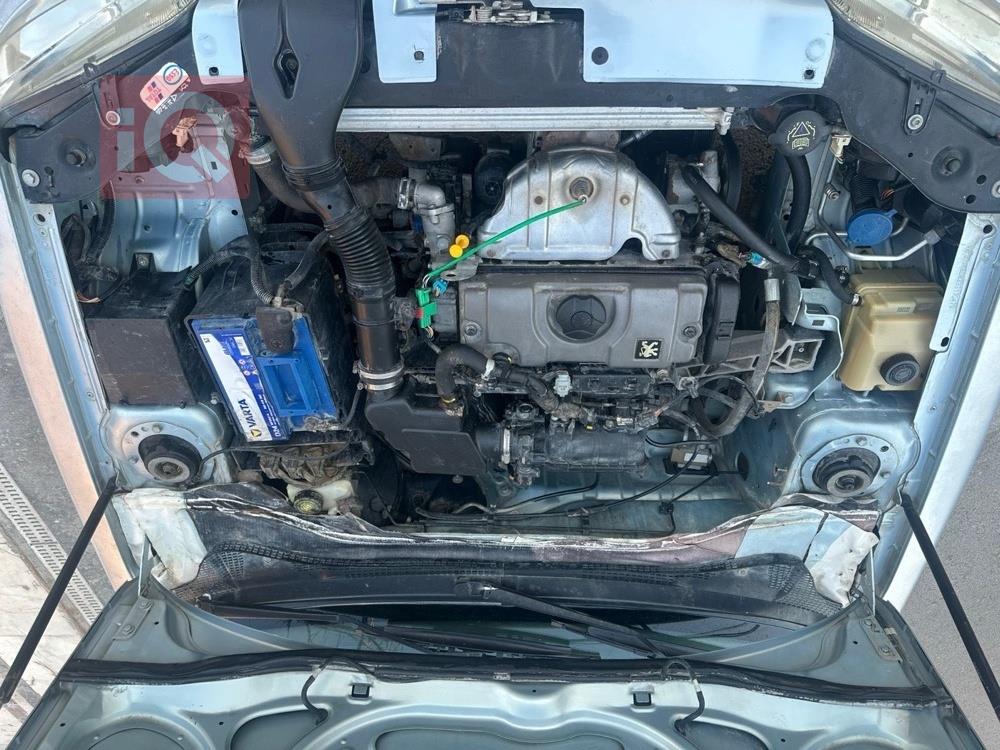 بيجو 306